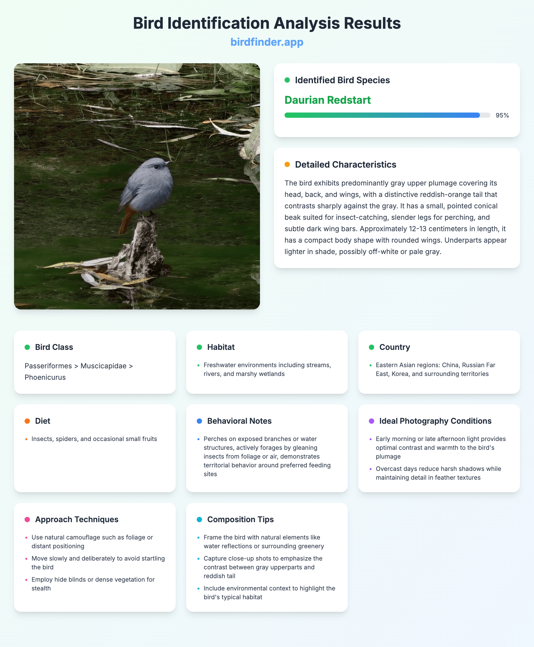 bird result
